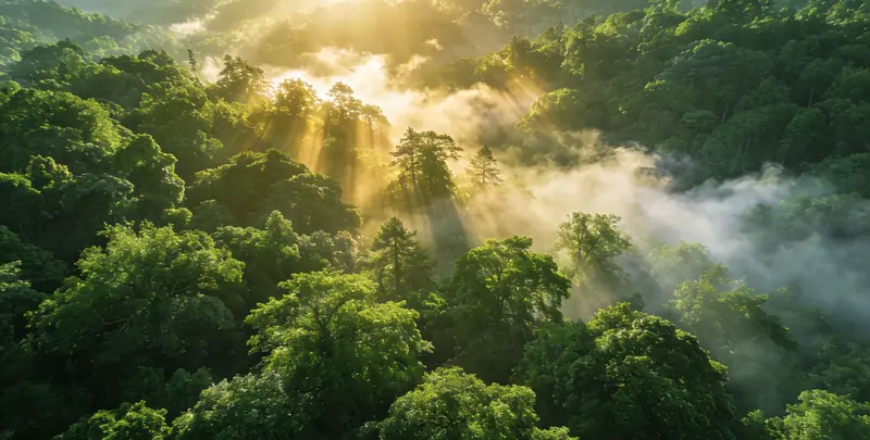 大兴安岭肺癌（EGFR T790M)突变检测图片1