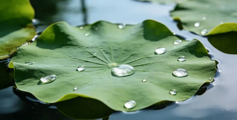 大兴安岭乳腺癌21基因mRNA表达分析图片1