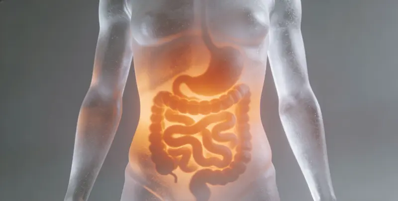 大兴安岭胃癌靶向用药39基因检测（组织）图片1